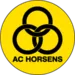 AC Horsens